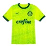 Maglia ufficiale Palmeiras Alternativa 2023-24 per Uomo